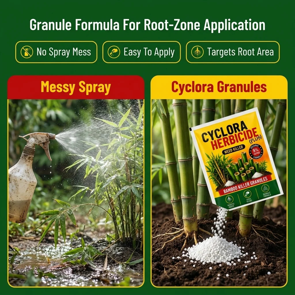 Cyclora Herbicide Granules | š„BUY 1 GET 1 FREEš„