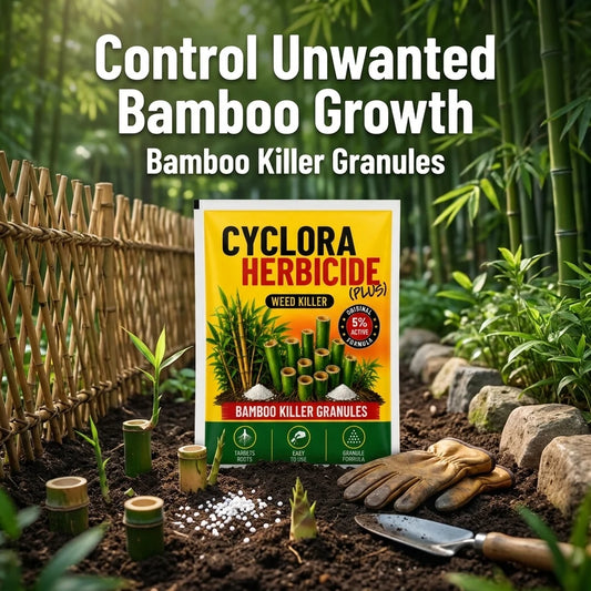 Cyclora Herbicide Granules | 🔥BUY 1 GET 1 FREE🔥